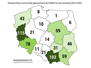 Powierzchnia winnic w Polsce